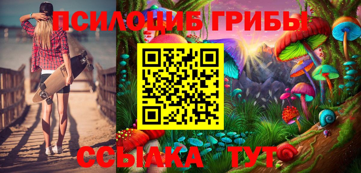 Галлюциногенные грибы GOLDEN TEACHER Нижнеудинск