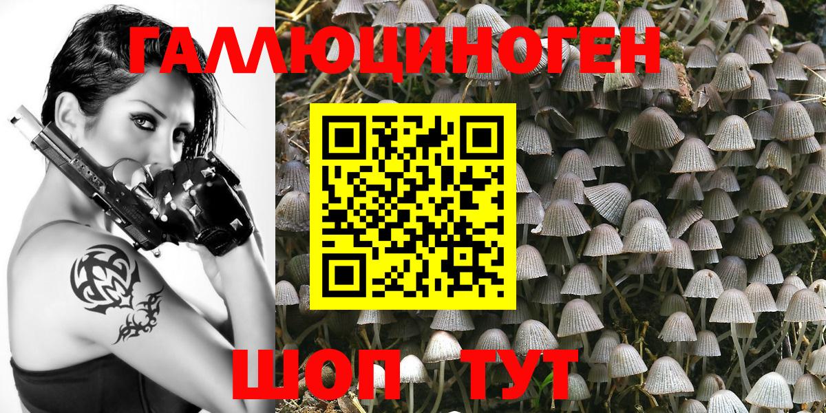 Нижнеудинск  Галлюциногенные грибы GOLDEN TEACHER  Вход с VPN  Псилоцибиновые грибы MAGIC MUSHROOMS 