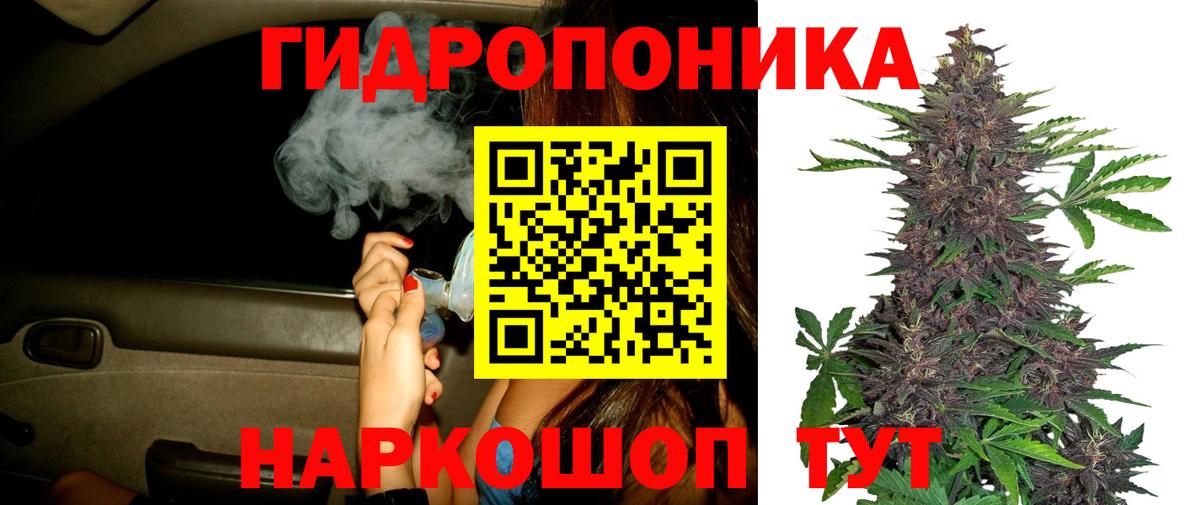 Бошки марихуана план Нижнеудинск